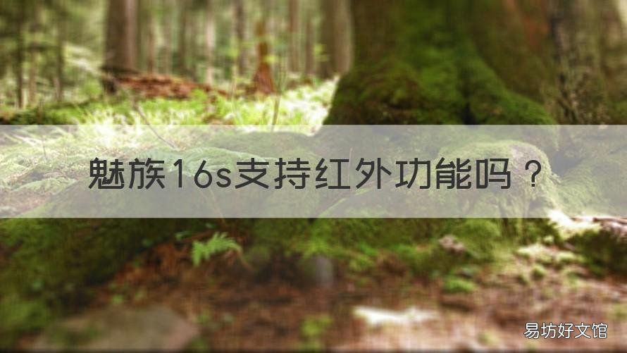 魅族16s支持红外功能吗 魅族16s支持红外功能吗怎么用