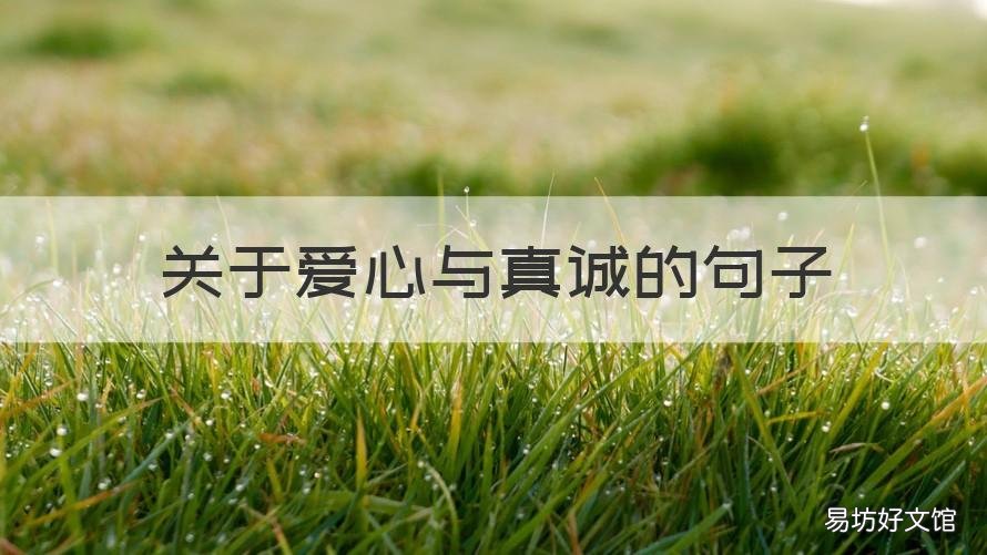 关于爱心与真诚的句子 关于爱心与真诚的句子简短