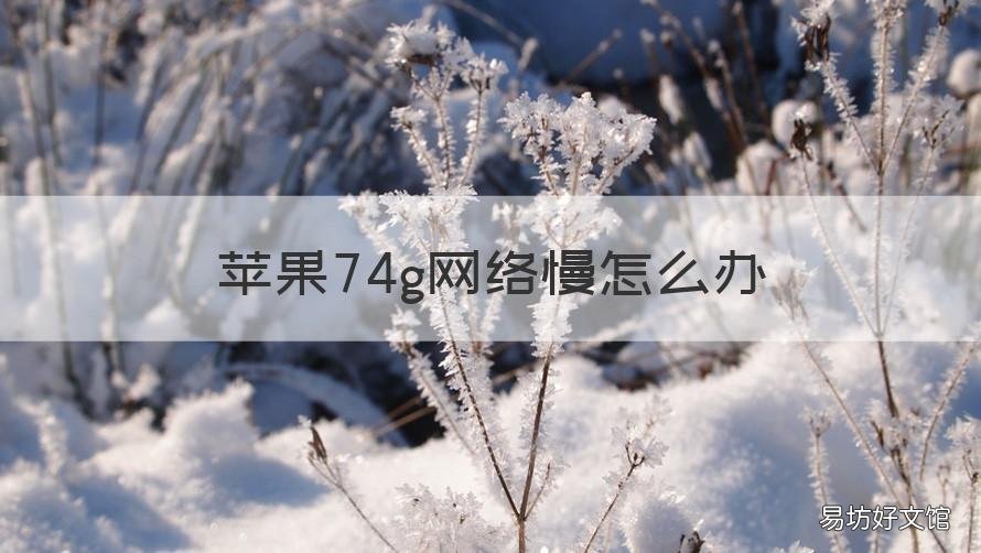 苹果74g网络慢怎么办 苹果74g网速慢怎么调设置