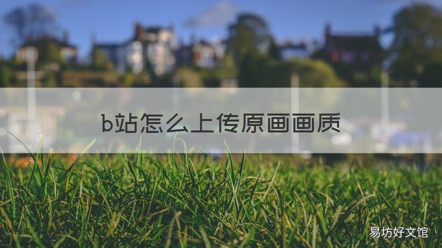 b站怎么上传原画画质 B站上传画质