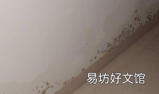 墙面发霉变黑怎么处理 墙面发霉变黑怎么处理干净