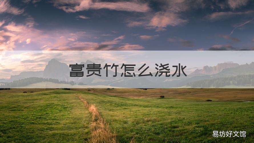 富贵竹怎么浇水 富贵竹怎么水养
