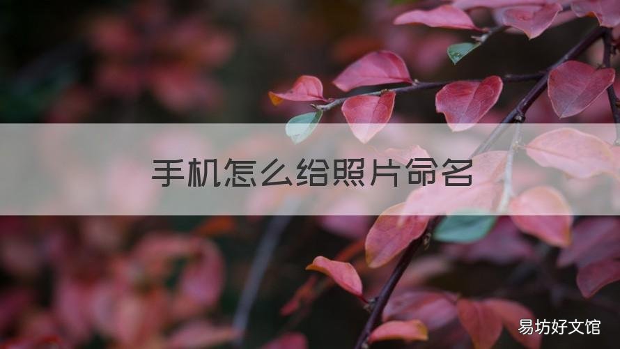 手机怎么给照片命名 手机怎么照片命名压缩