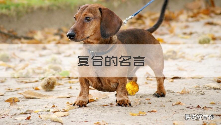 复合的名言 复合的一句话