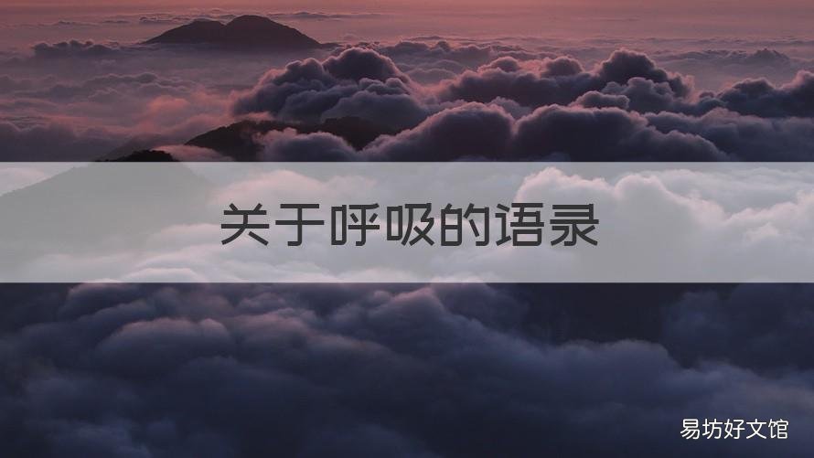 关于呼吸的语录 有关呼吸的经典语录