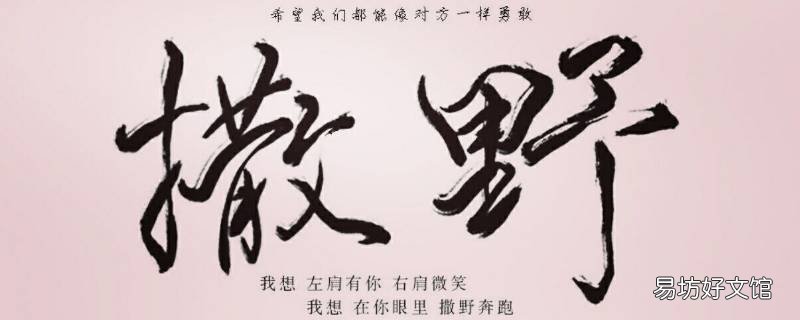 撒野和好第几章 撒野和好在哪一章