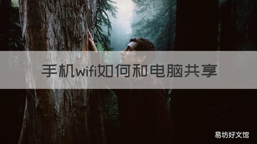 手机wifi如何和电脑共享 手机wifi怎么和电脑共享网络