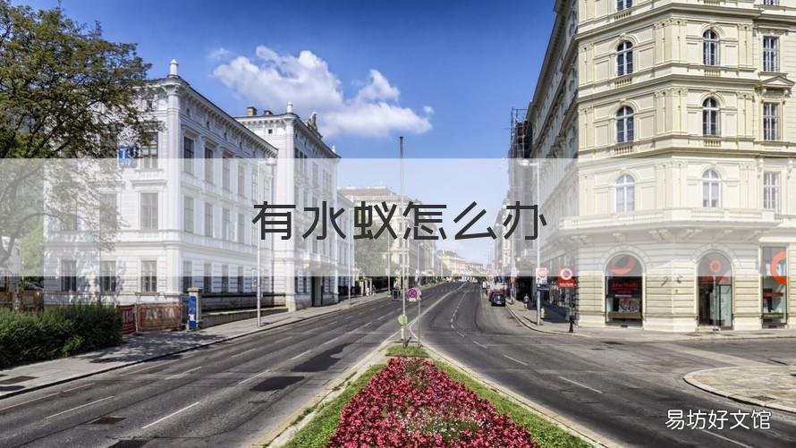 有水蚁怎么办 很多水蚁怎么办