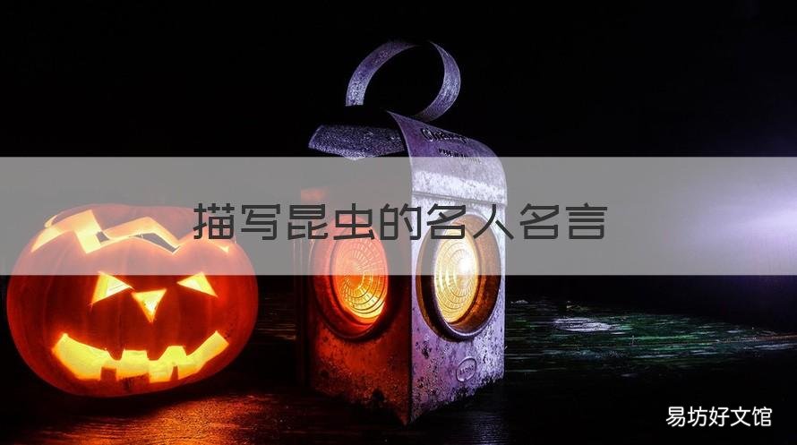 描写昆虫的名人名言 关于昆虫的名人名言简短