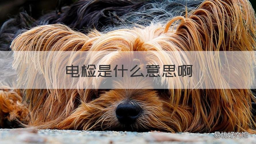 电检是什么意思啊 电检质是什么意思啊