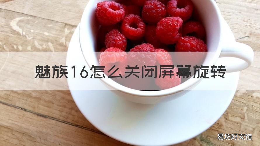 魅族16怎么关闭屏幕旋转 魅族16怎么关闭全面屏