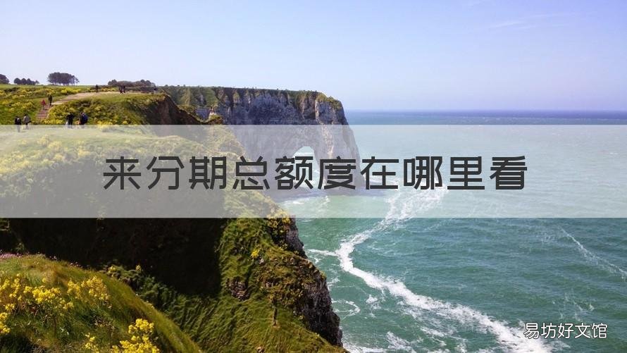 来分期总额度在哪里看 来分期额度多少