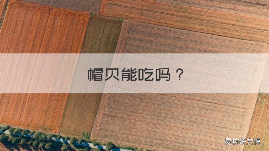 帽贝能吃吗 扇贝的头能不能吃