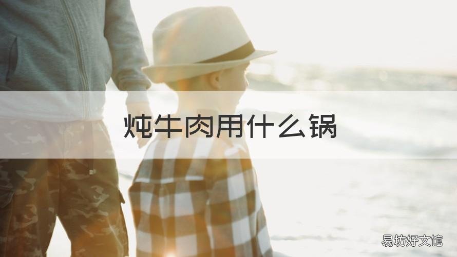 炖牛肉用什么锅 炖牛肉用什么锅烂