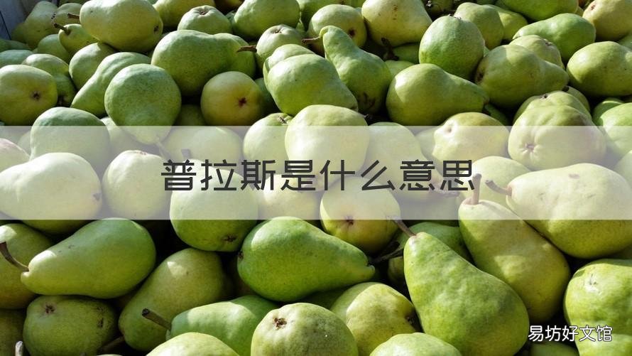 普拉斯是什么意思 plus是什么意思