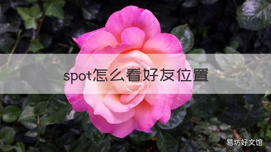 spot怎么看好友位置