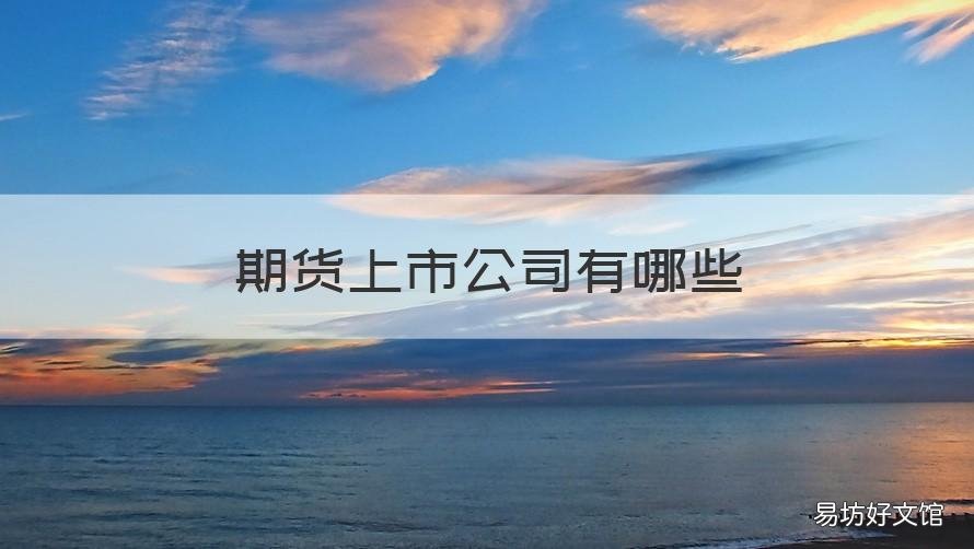 期货上市公司有哪些 期货公司上市的有几家