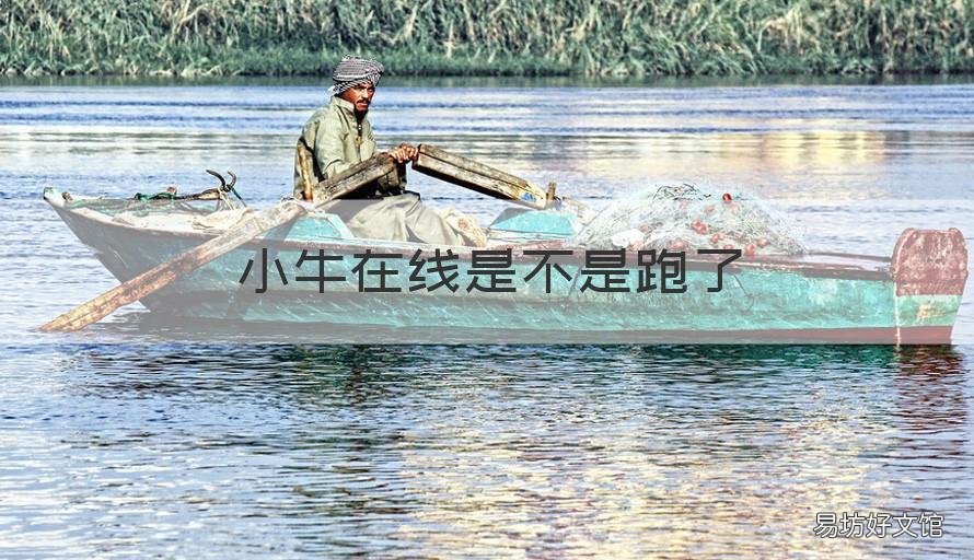 小牛在线是不是跑了 小牛在线是不是跑了很多公里