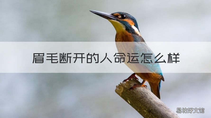 眉毛断开的人命运怎么样 眉头断开的人命运怎样