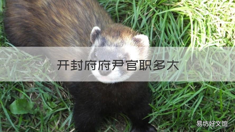 开封府府尹官职多大 开封府府尹官职属于什么级别