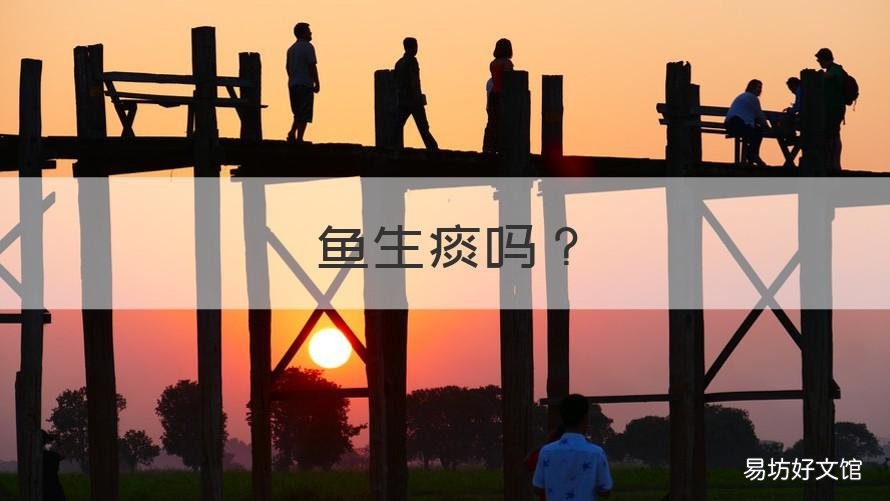 鱼生痰吗 感冒吃鱼生痰吗