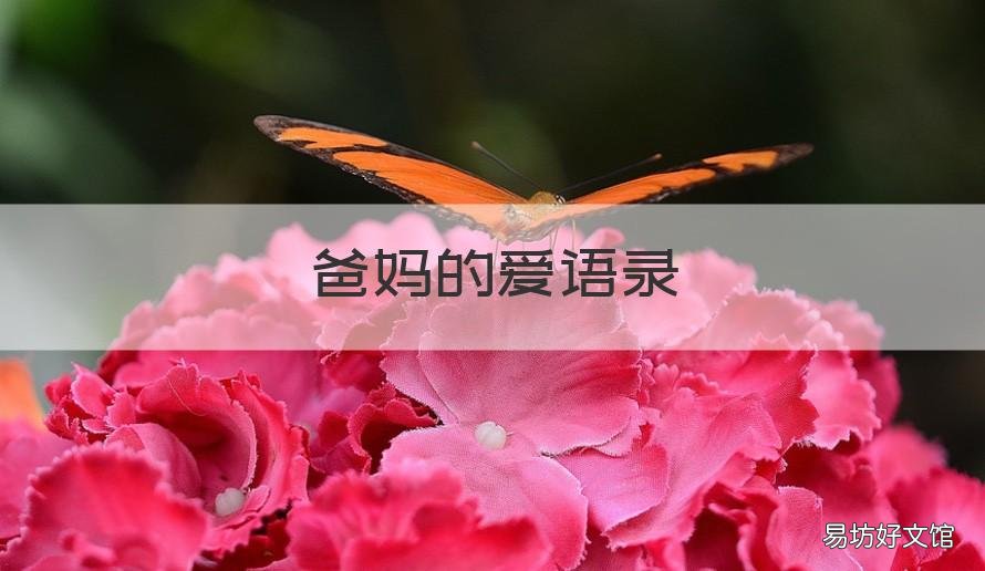 爸妈的爱语录 爸妈的爱语录经典短句