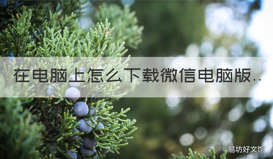 在电脑上怎么下载微信电脑版 微信电脑版下载安装方法