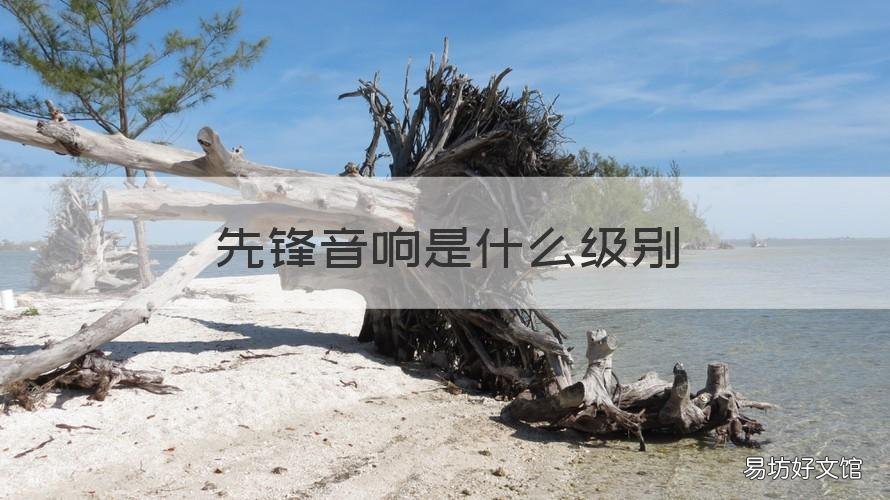 先锋音响是什么级别 先锋音响音质