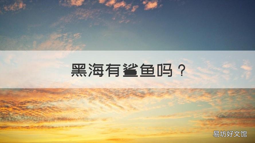 黑海有鲨鱼吗 黑鲨是鲨鱼吗