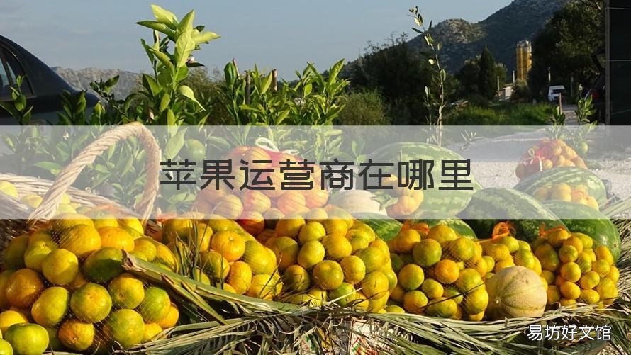 苹果运营商在哪里 苹果运营商在哪找