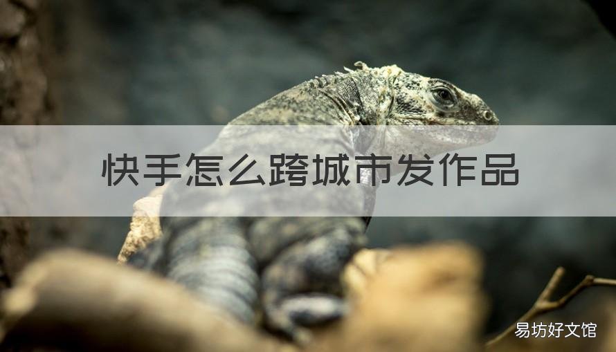 快手怎么跨城市发作品 快手怎么跨城市发作品呢