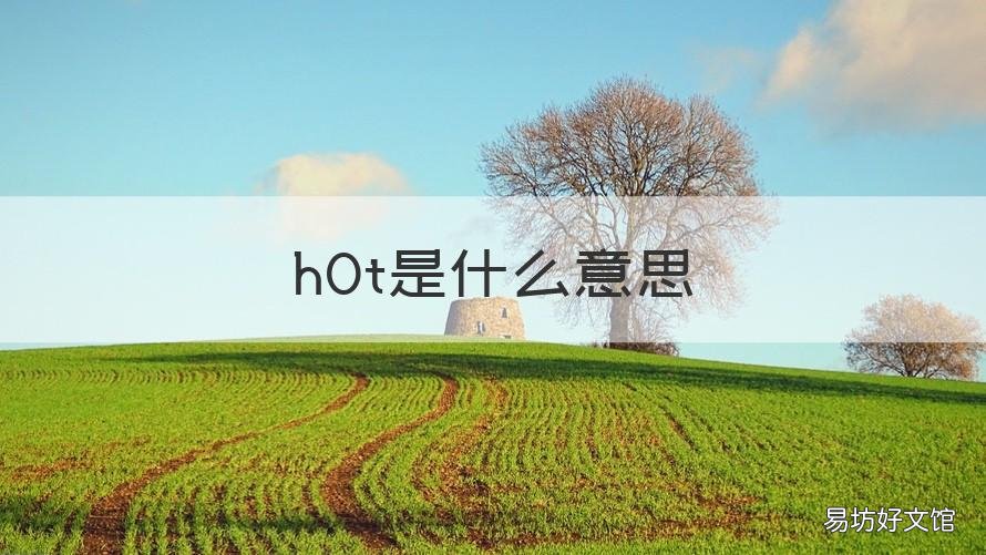 hOt是什么意思