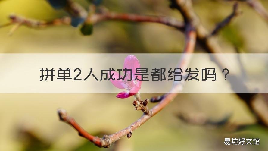 拼单2人成功是都给发吗 拼单几个人才可以发