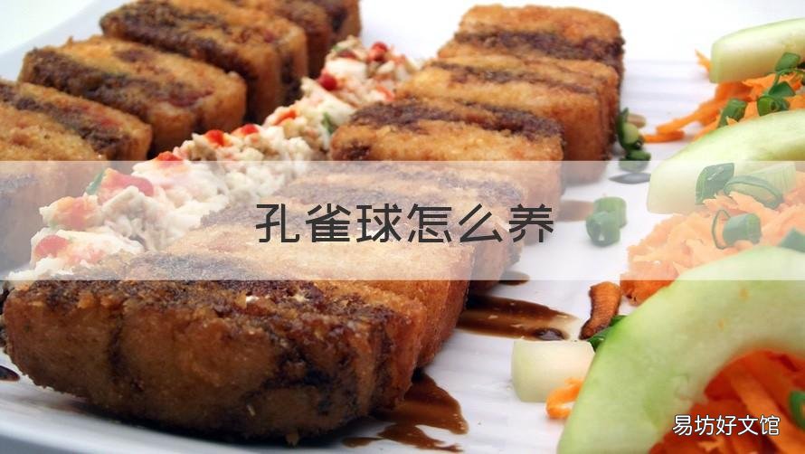 孔雀球怎么养 玛丽球可以和孔雀一起养吗