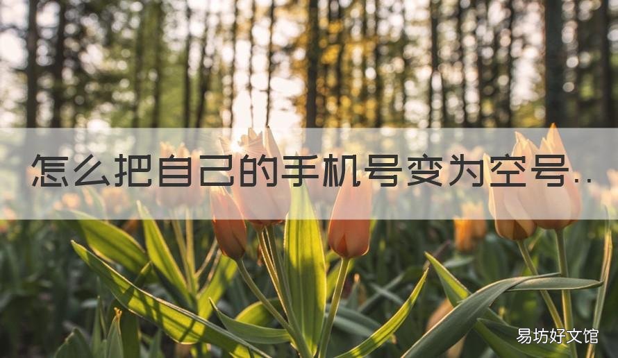 怎么把自己的手机号变为空号 怎么能让自己的手机号变成空号