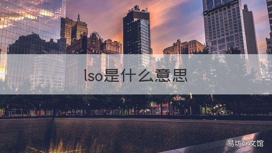 lso是什么意思 also是什么意思