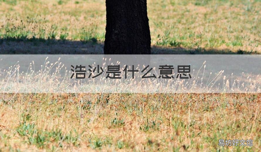 浩沙是什么意思 湖北浩沙什么意思