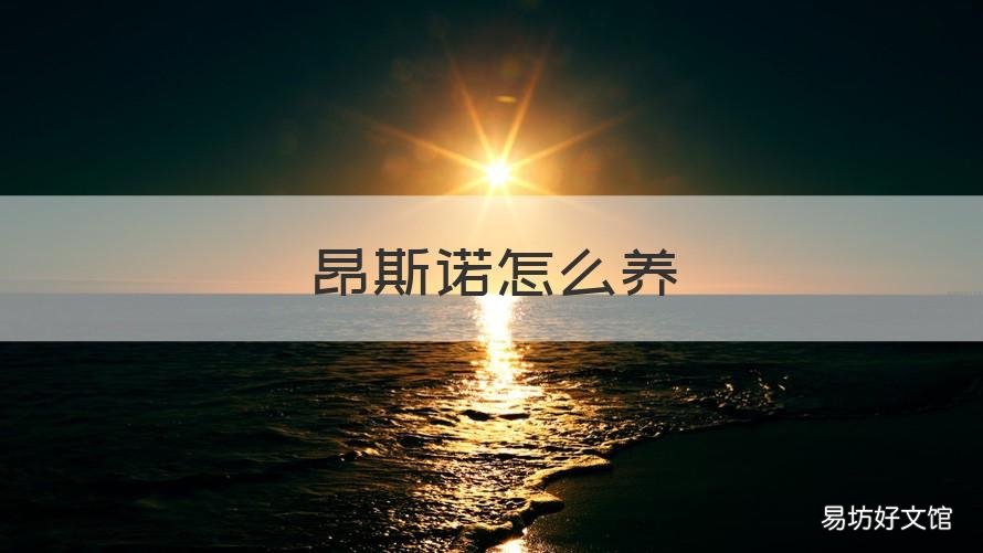 昂斯诺怎么养 昂斯诺怎么养成手捧花造型