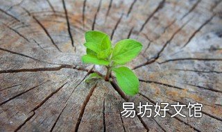 人活着的意义经典语录 人活着的意义经典语录善有心