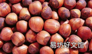 生榛子怎么做好吃 生榛子的做法大全家常