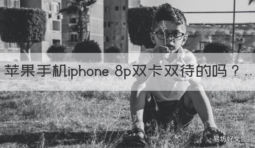 苹果手机iphone 8p双卡双待的吗 苹果8P有双卡双待吗
