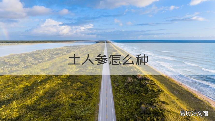 土人参怎么种 土人参怎么种植视频