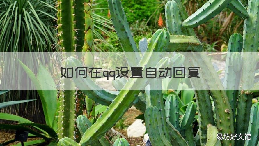 如何在qq设置自动回复 如何qq设置自动回复?