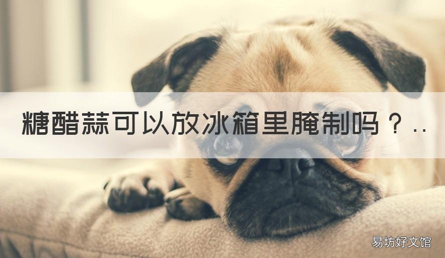 糖醋蒜可以放冰箱里腌制吗 糖蒜能用陈醋腌吗
