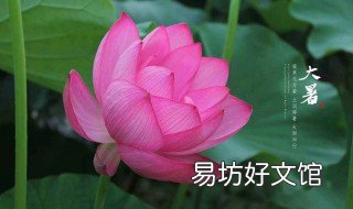 大暑是什么季节 大暑是什么季节,是几月几日