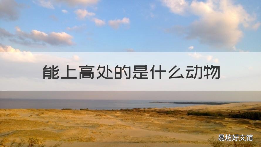 能上高处的是什么动物 高高在上的动物有哪几些