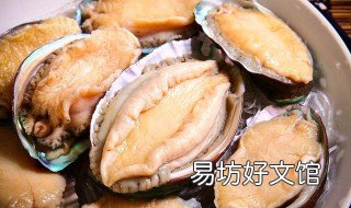 鲍鱼买回来不吃怎么保存 刚买的鲍鱼暂时不吃怎么保存