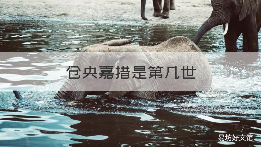 仓央嘉措是第几世 仓央嘉措是第几代