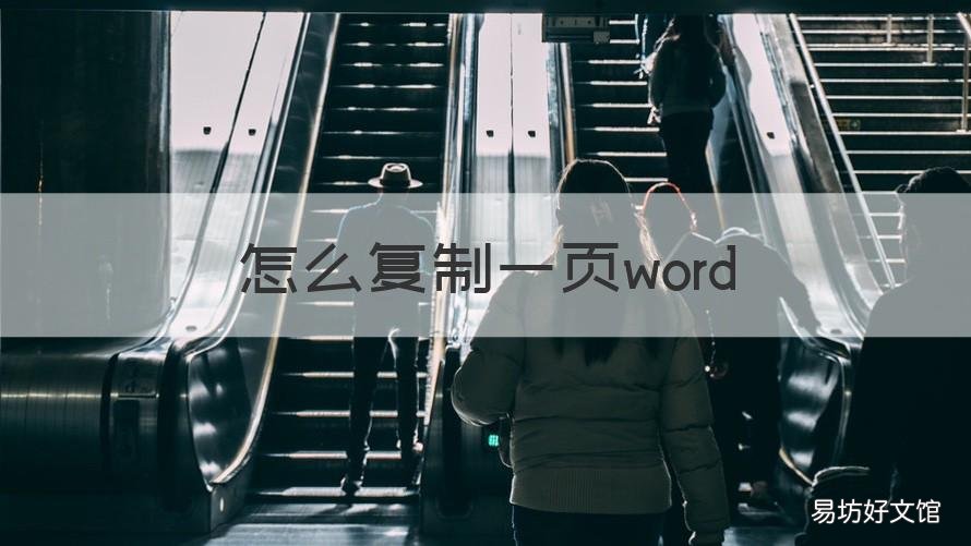 怎么复制一页word 怎么复制一页word有表格的