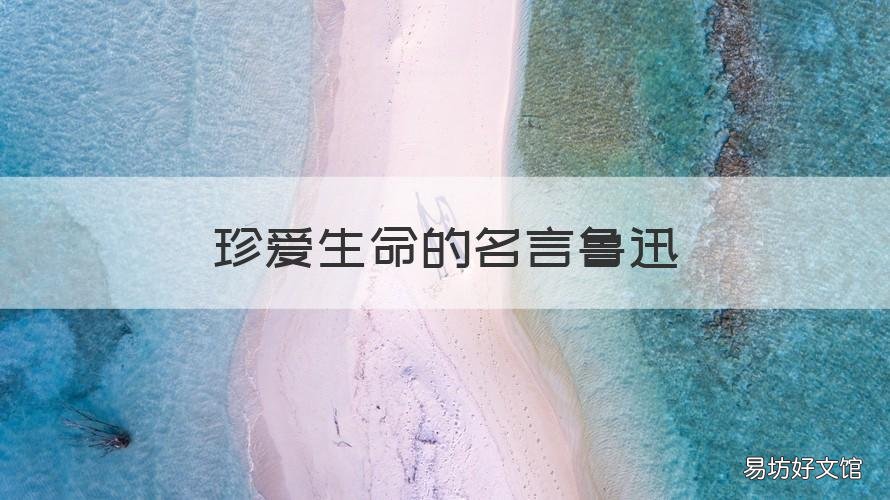 珍爱生命的名言鲁迅 鲁迅先生的名言珍惜生命句子